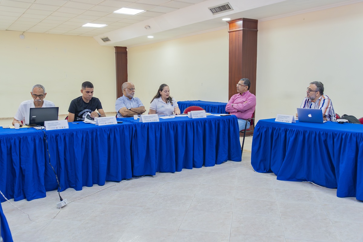 Comité de garantías