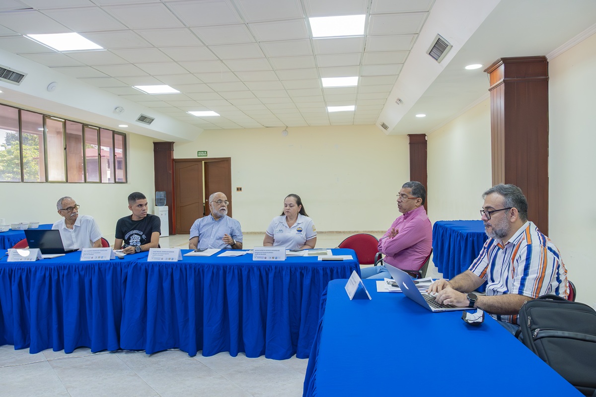 Comité de garantías