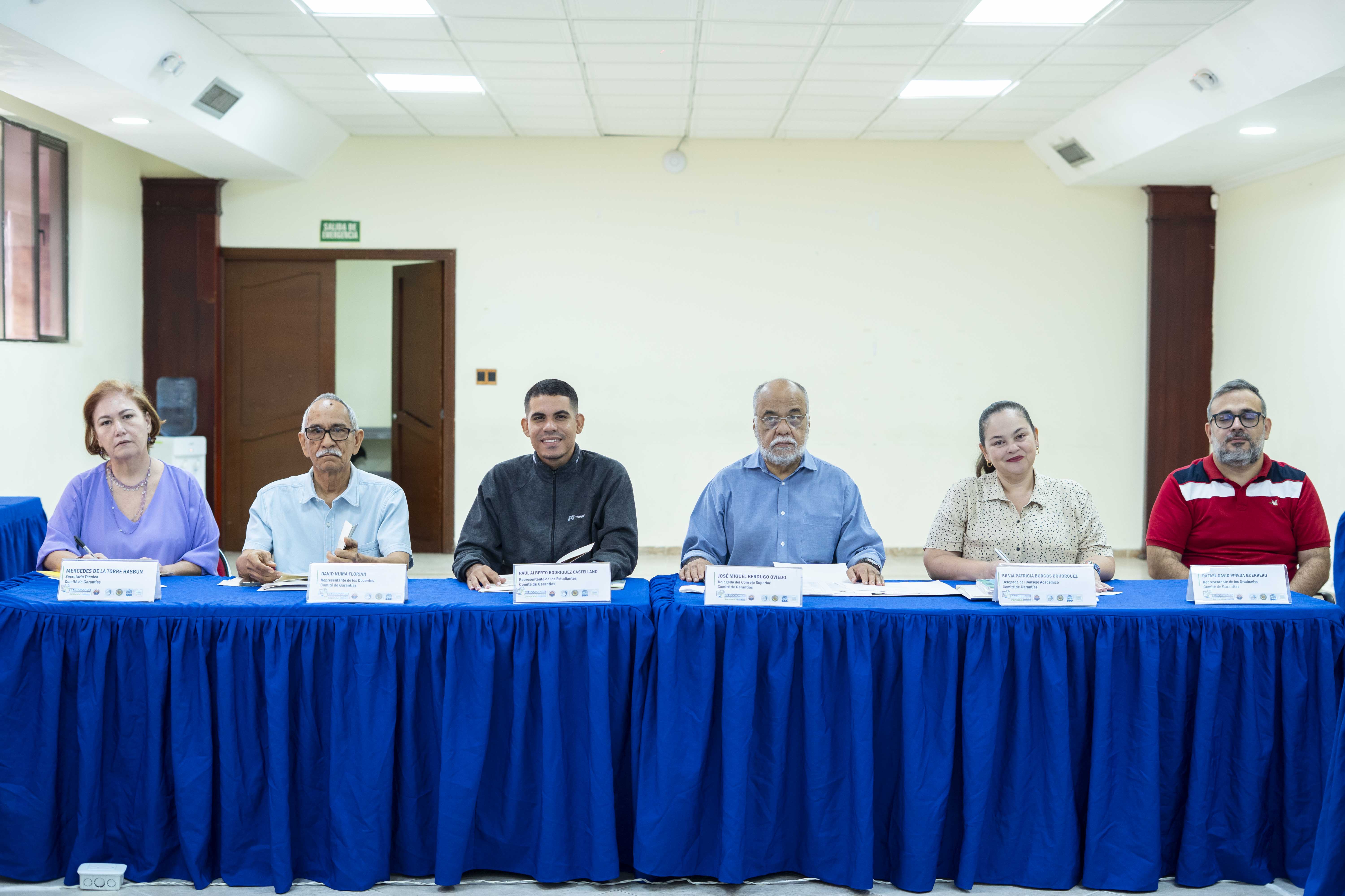 Comité de garantía 