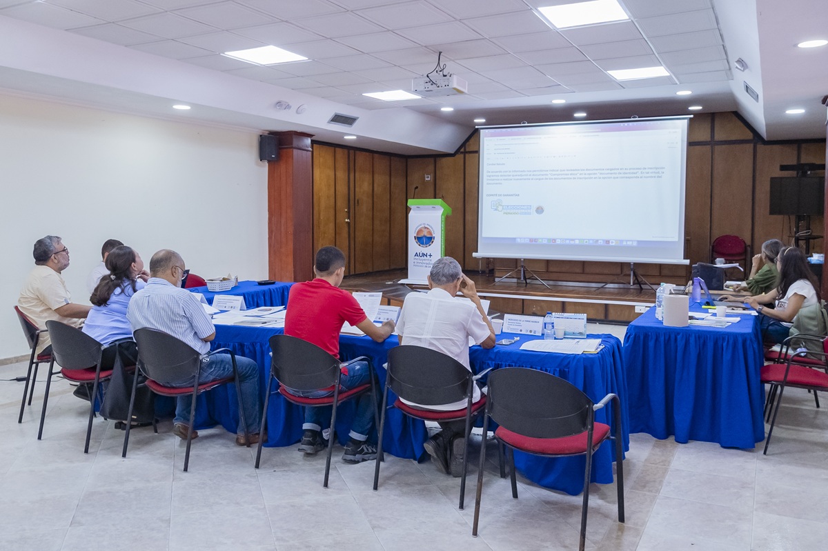 Comité de garantías